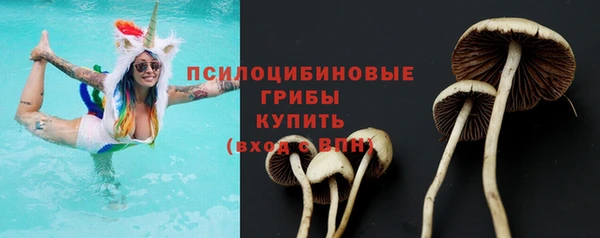 твердый Абинск