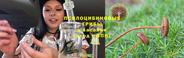твердый Абинск