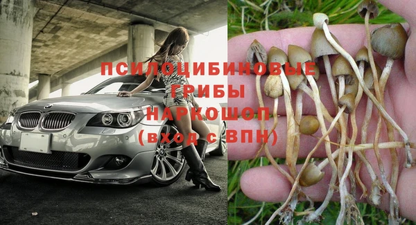 твердый Абинск